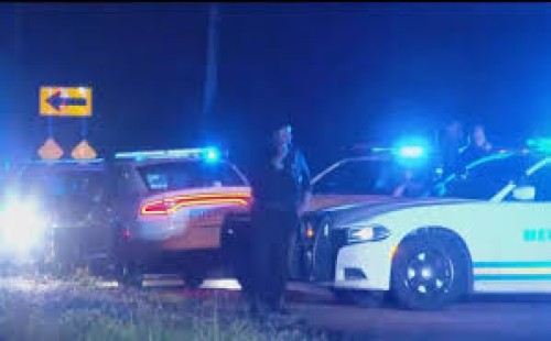 যুক্তরাষ্ট্রে বন্দুক হামলা, নিহত ৪ 