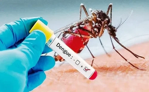 একদিনে ডেঙ্গুতে ৩ জনের মৃত্যু 