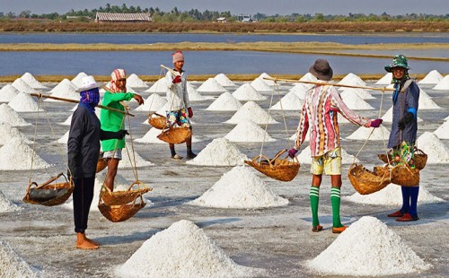 ৫ যুগের ইতিহাসে রেকর্ড লবণ উৎপাদন 