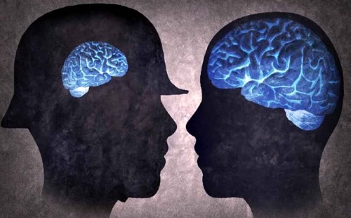 ছোট হয়ে আসছে মানুষের মস্তিষ্ক! 