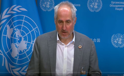 রোহিঙ্গাদের ভারত থেকে বিতাড়নের অভিযোগ 