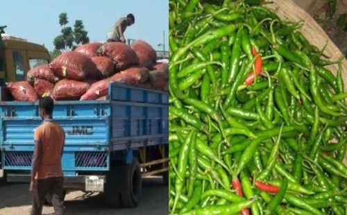কাঁচামরিচ আমদানি বেড়েছে 