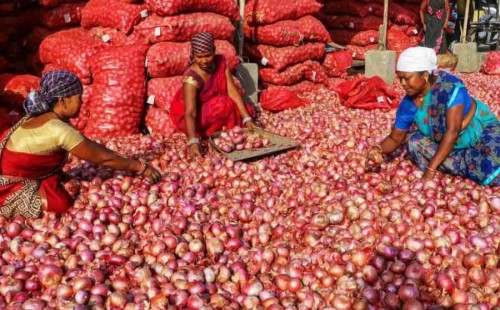 ভারতে দু’সপ্তাহে পিঁয়াজের দাম প্রায় ৫০ শতাংশ বৃদ্ধি 