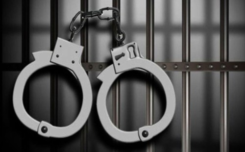 মাদকবিরোধী অভিযানে গ্রেপ্তার ৩১ 