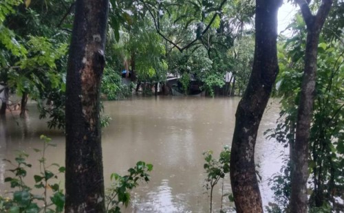 বৃষ্টি থেমে নোয়াখালীতে সূর্যের দেখা, কমতে শুরু করেছে পানি 