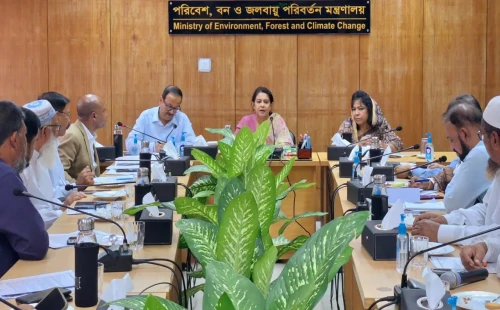 বন্ধ করা হবে অবৈধ ৩ হাজার ৪৯১ ইটভাটা : পরিবেশ উপদেষ্টা 