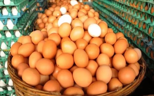 এসেছে ডিমের তৃতীয় চালান, ৩০ টাকা হালি 