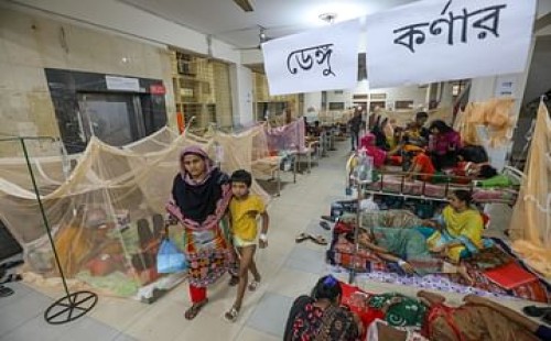 চলতি বছরে ডেঙ্গুতে মৃত্যু প্রায় ২০০ 