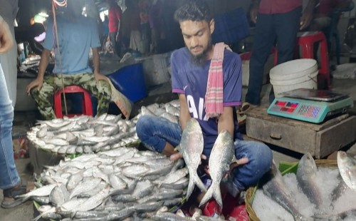 খুলনায় মাইকিং করে ইলিশ বিক্রি, দামে হতাশ ক্রেতারা 