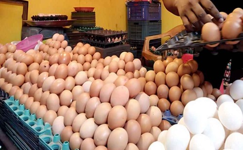 ডিমের নতুন দাম নির্ধারণ 