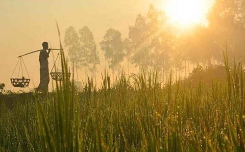 শীত আসছে, তবে ধীরগতিতে 