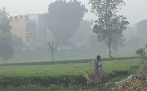 ১৫ ডিগ্রিতে নামল পঞ্চগড়ের তাপমাত্রা 