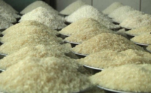 ভারত-মিয়ানমার থেকে চাল কিনবে সরকার 