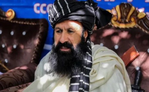 আত্মঘাতি বোমা হামলায় তালেবানমন্ত্রী নিহত 