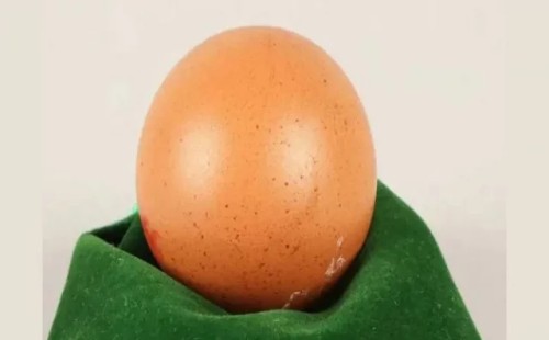 ১টি ডিমের দাম ৩০ হাজার টাকা! 