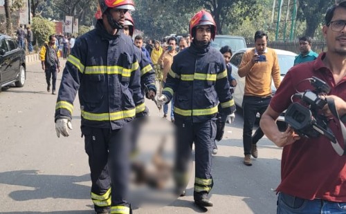 সচিবালয়ের ৮ তলায় কুকুর, ঘুরপাক খাচ্ছে প্রশ্ন 