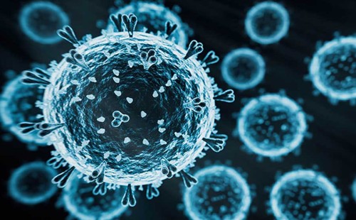 নতুন ভাইরাসে আতঙ্কিত হওয়ার কিছু নেই: চীন 