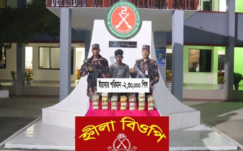 ২ লাখ পিস ইয়াবাসহ মিয়ানমারের নাগরিক আটক 