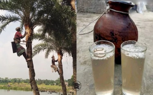 দেশে পাঁচজনের শরীরে ব্যাট রিওভাইরাসের নমুনা পাওয়া গেছে 