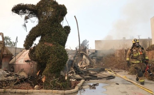 আগুন নিয়ন্ত্রণে আপ্রাণ চেষ্টা দমকল কর্মীদের 