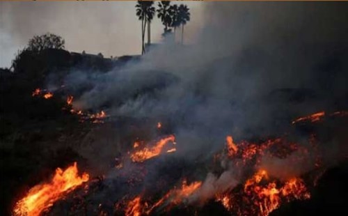 দাবানলে নিহতের সংখ্যা বেড়ে ২৪ 