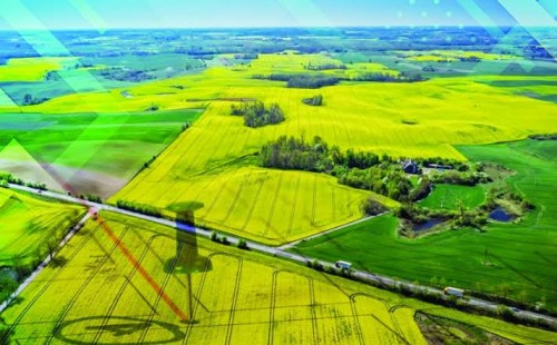 জায়গা-জমি বণ্টনে ইসলামী নির্দেশনা 