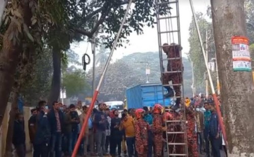 ঢাবি এলাকার গাছের ডাল থেকে ঝুলন্ত মরদেহ উদ্ধার 