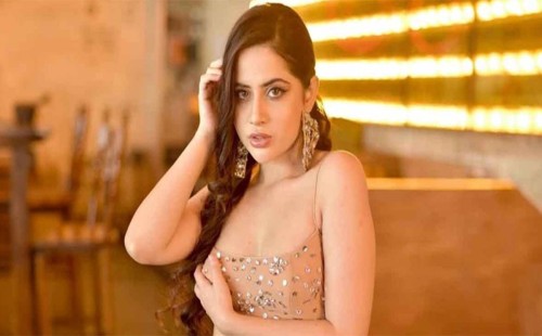 কেন মুসলিম ছেলেকে বিয়ে করবে না উরফি? 