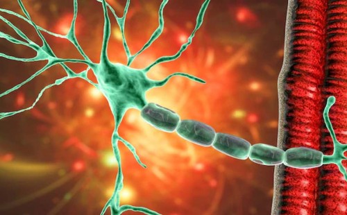 এবার মুম্বাইয়ে জিবিএস 