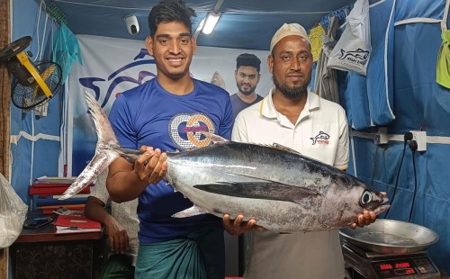 কুয়াকাটায় জেলের জালে ১৮ কেজির টুনা, ১৪ হাজার টাকায় বিক্রি 