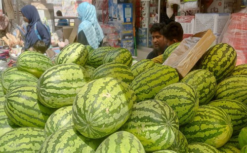 রাজধানীতে ৭০ টাকা কেজিতে মিলছে তরমুজ 