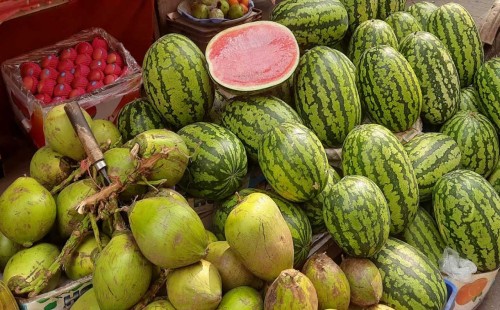 গরমে তরমুজ-ডাবের চাহিদা তুঙ্গে, দাম বাড়ার অভিযোগ ক্রেতাদের 