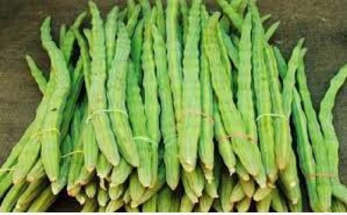 সজনেডাঁটা মুক্তি দেবে যেসব রোগ থেকে 