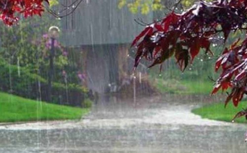 সারাদেশে বজ্রসহ বৃষ্টির পূর্বাভাস 