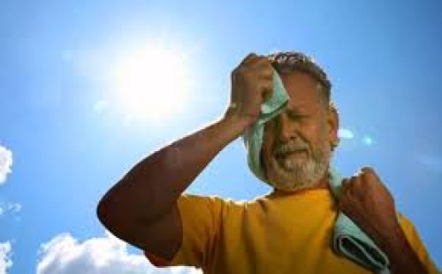 গরমে হিটস্ট্রোক থেকে বাঁচাতে যেসব খাবার রাখবেন খাদ্যতালিকায় 