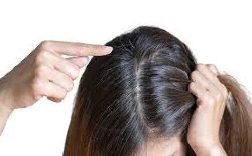 চুলা থেকে তেল-ময়লা দূর করার ঘরোয়া কার্যকর উপায় 