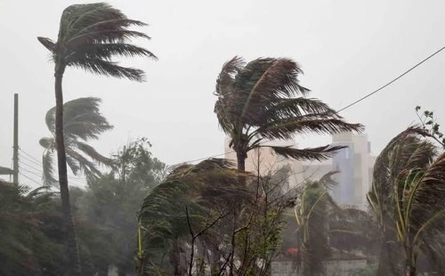 দেশের ১১ জেলায় ঝড়ের পূর্বাভাস 