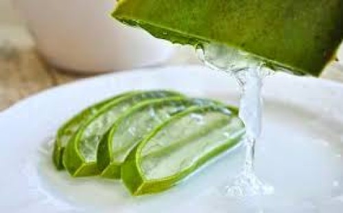 অতিরিক্ত অ্যালোভেরা ব্যবহারে যত বিপদ 