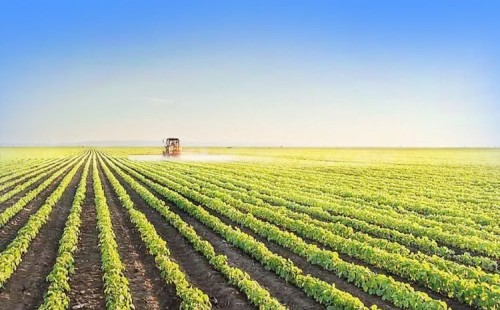 বিশ্বে একমাত্র খাদ্যে স্বয়ংসম্পূর্ণ দেশ 