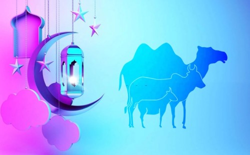 পশু কোরবানি করা আল্লাহর প্রিয় কাজ 