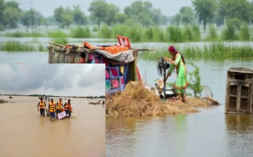 পাকিস্তানে বন্যায় ঘরছাড়া ২০ লাখ মানুষ 