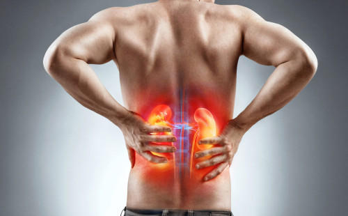 কিডনি নাকি পেশির ব্যথা, বুঝবেন যেভাবে? 