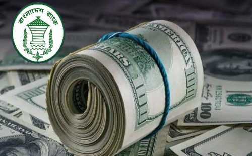 সেপ্টেম্বরের প্রথম ৬ দিনে প্রবাসী আয় ৫১ কোটি ডলার 