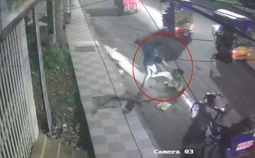 তরুণীর সঙ্গে মোবাইলফোন ছিনতাইকারীর ধস্তাধস্তি, ভিডিও ভাইরাল 