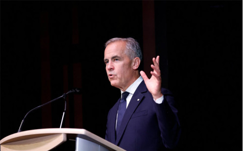 কার্নির বড় প্রকল্প 