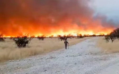 আগুন নেভাতে নেমেছে নামিবিয়ার সেনা 