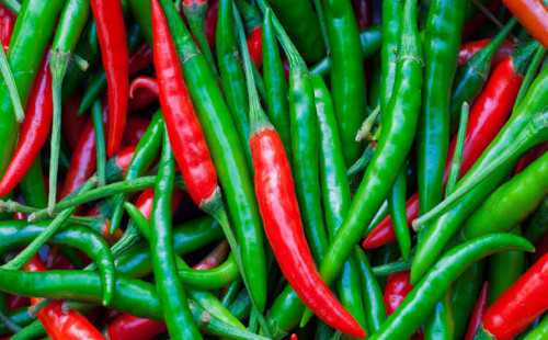 কাঁচা মরিচ দীর্ঘদিন সংরক্ষণের সহজ কৌশল 