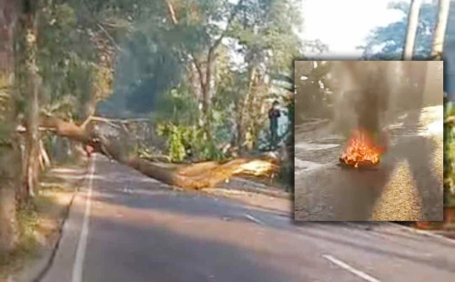 ঢাকা-বরিশাল মহাসড়কে গাছ ফেলে অবরোধ 