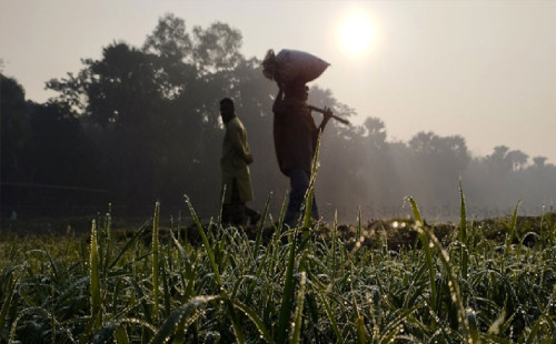 ১২ ডিগ্রি নামলো পঞ্চগড়ের তাপমাত্রা 
