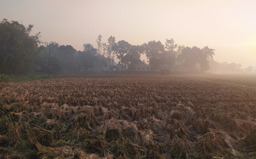পঞ্চগড়ে জেঁকে বসেছে শীত, তাপমাত্রা নামল ১২ ডিগ্রিতে 